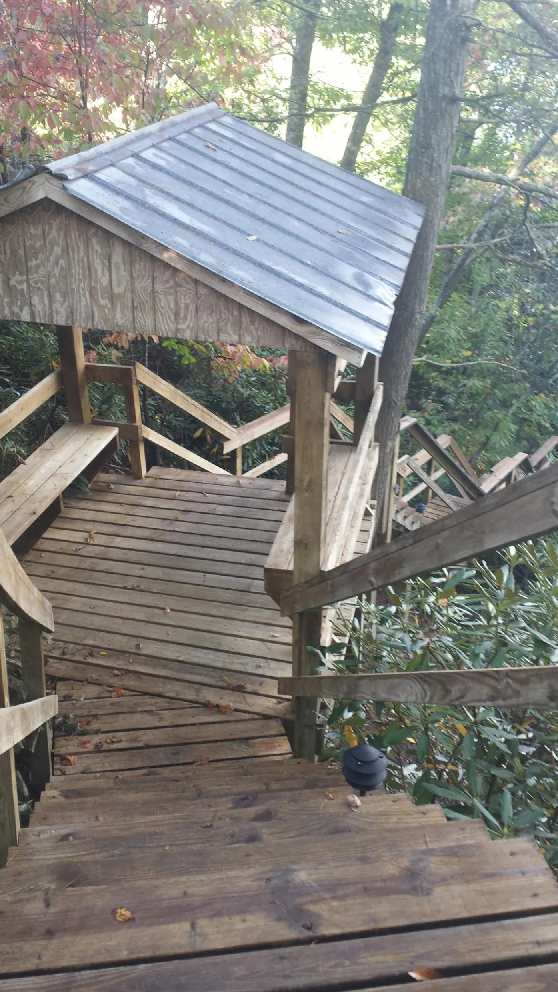 Metal roofed shelter over wooden steps on a wooded walkway — Skylight Repair & Installation work by our crew in Oracle