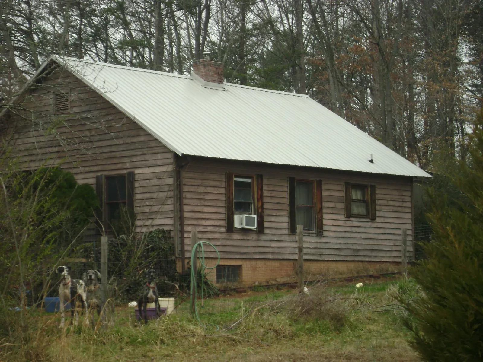 White metal roof on an old wood sided farmhouse, from a Asphalt Shingle Roof Repair job in Oracle